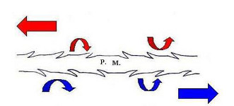 Fils crantés